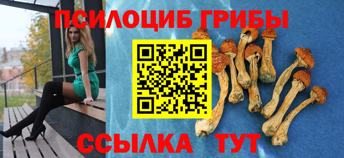 Галлюциногенные грибы прущие грибы Грязи